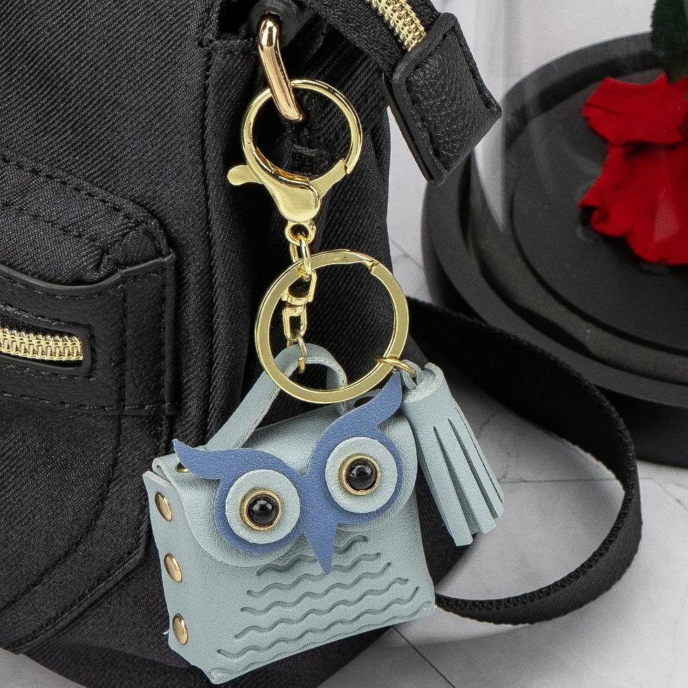 Mini-Münzbörse Schlüsselanhäng – Backpack Insert Organizer Bewertung und Preis